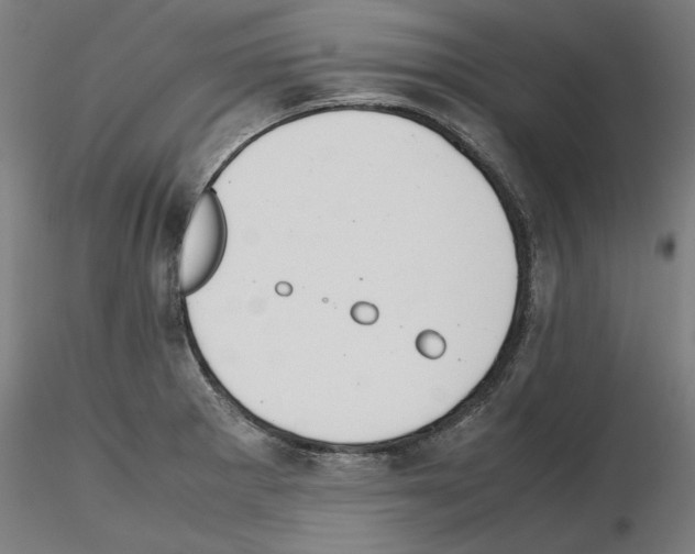 X0000115601281200912221138