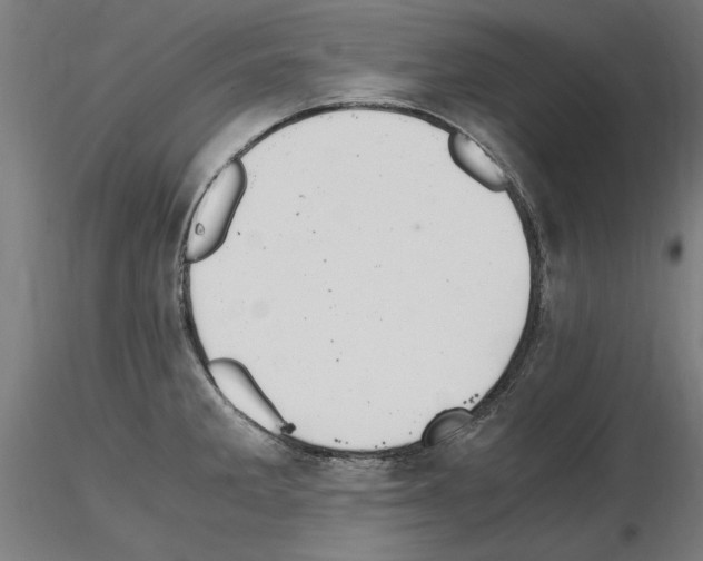 X0000115601285200912221138