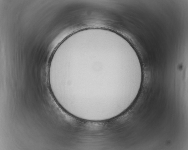 X0000115601286200912221138