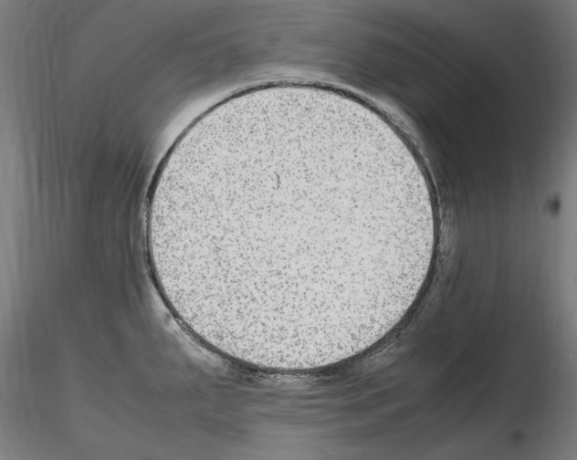 X0000115601287200912221138