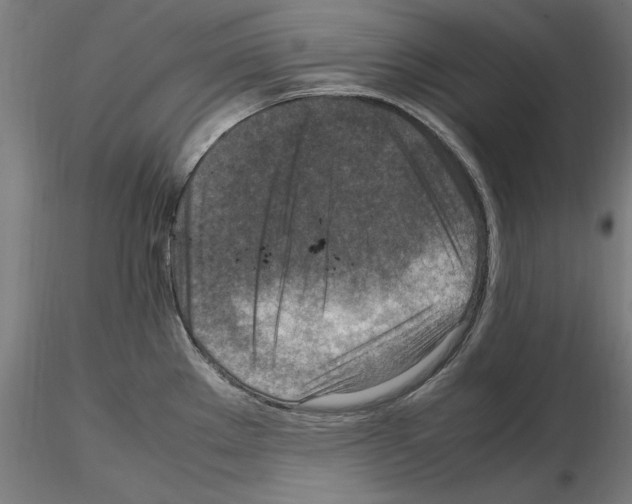 X0000115601289200912221138