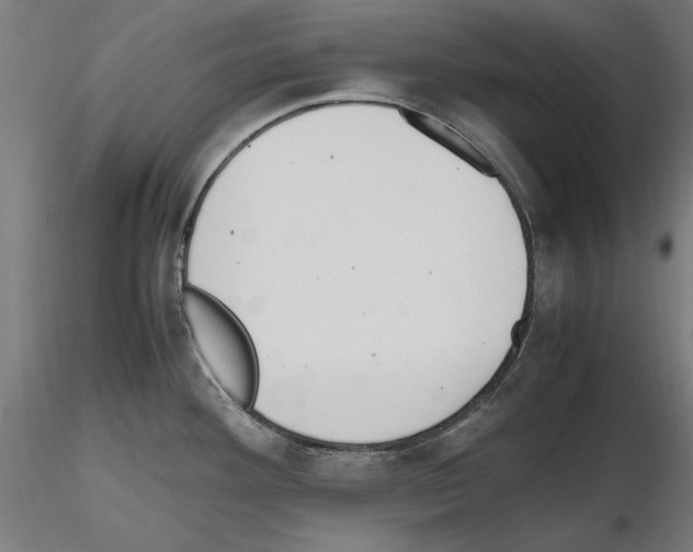 X0000115601292200912221138