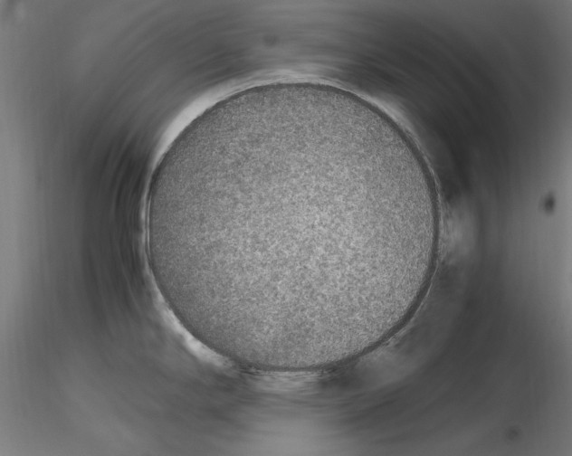 X0000115601294200912221138