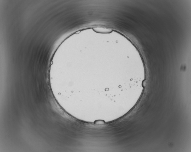 X0000115601296200912221138