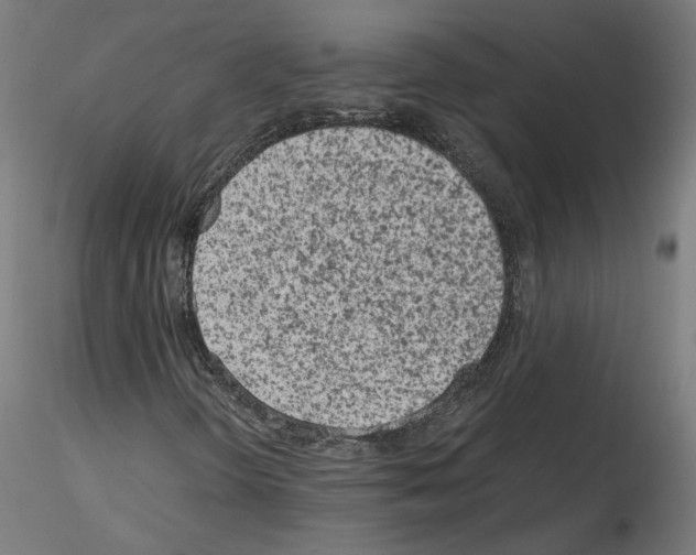 X0000115601298200912221138