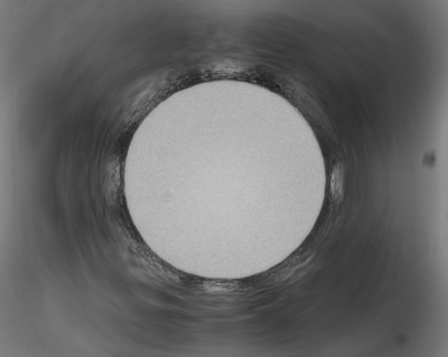 X0000115601299200912221138