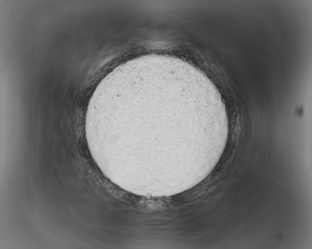 X0000115601301200912221138