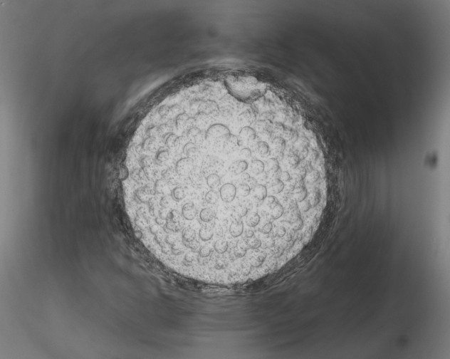 X0000115601302200912221138