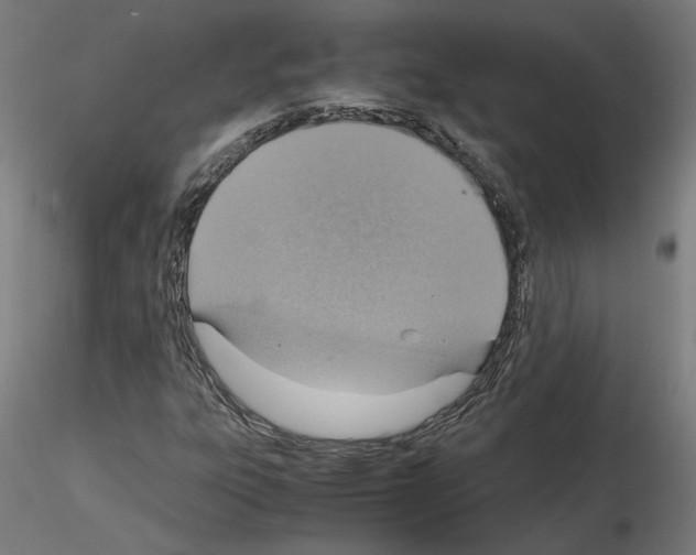 X0000115601303200912221138