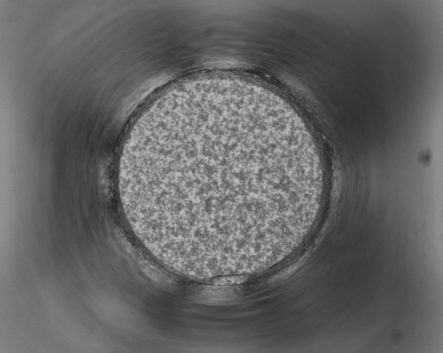 X0000115601305200912221138