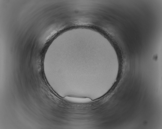 X0000115601306200912221138