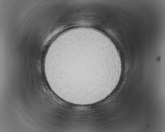 X0000115601307200912221138