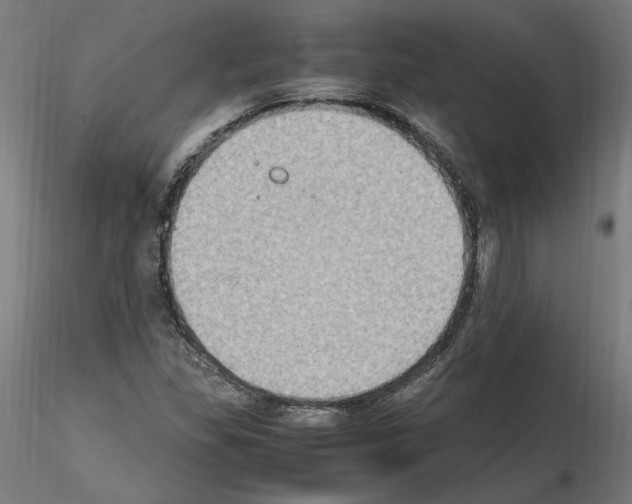 X0000115601309200912221138