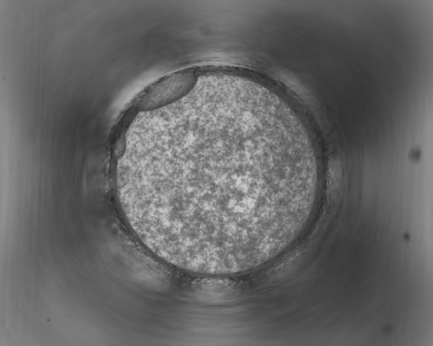 X0000115601310200912221138