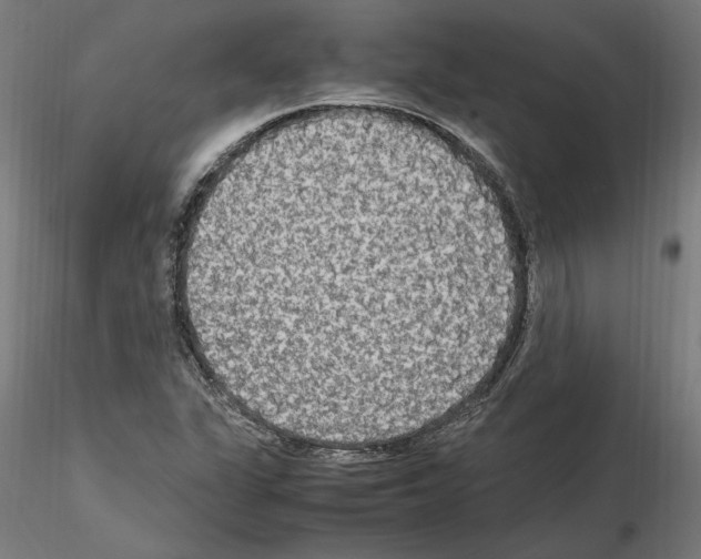 X0000115601311200912221138