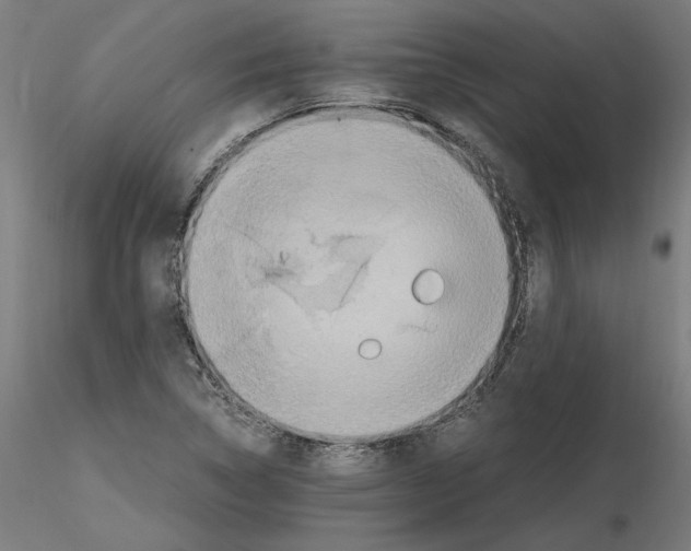 X0000115601314200912221138