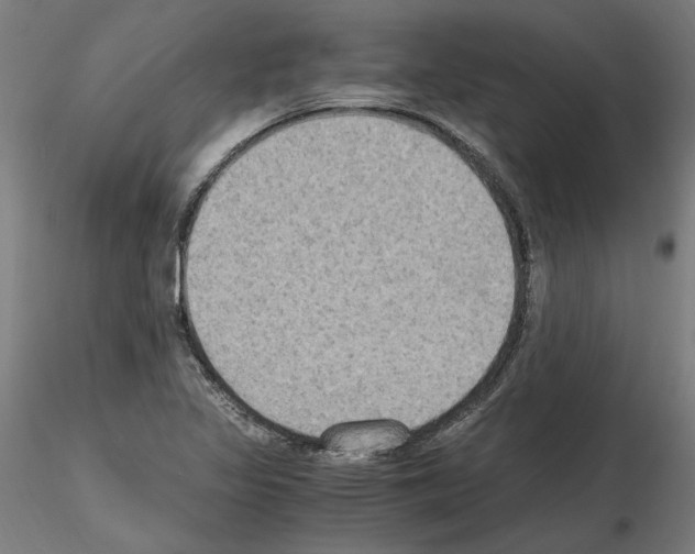 X0000115601317200912221138