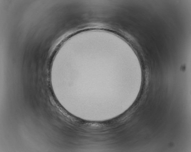 X0000115601318200912221138