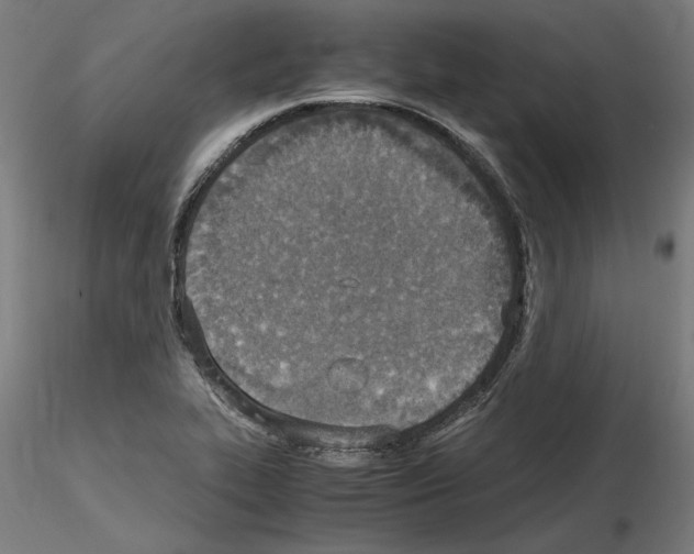 X0000115601319200912221138