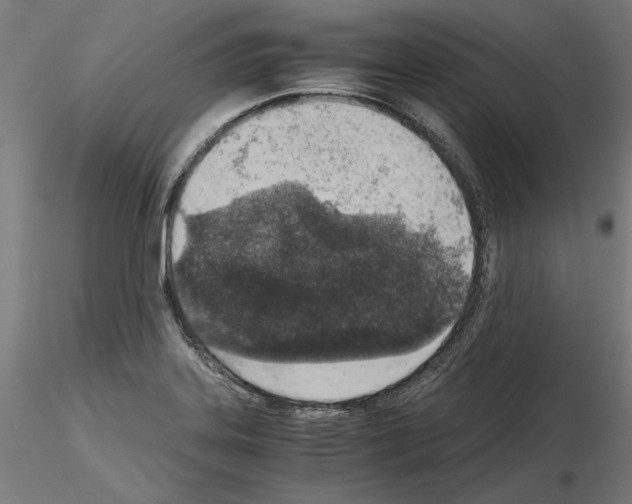 X0000115601323200912221138