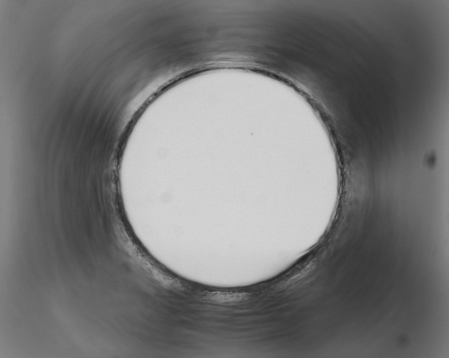 X0000115601325200912221138