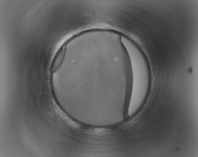 X0000115601326200912221138