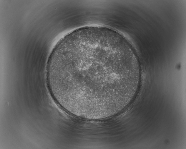 X0000115601327200912221138