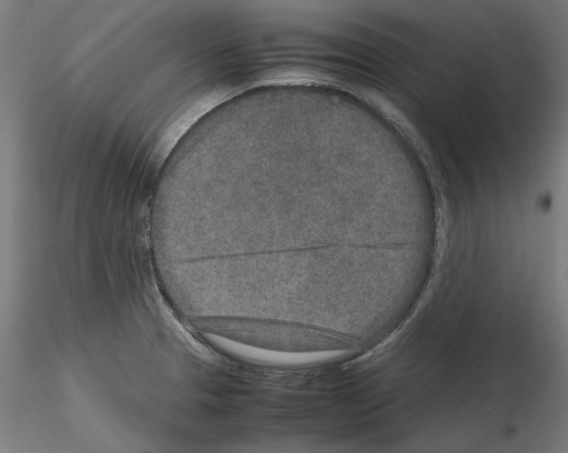 X0000115601329200912221138