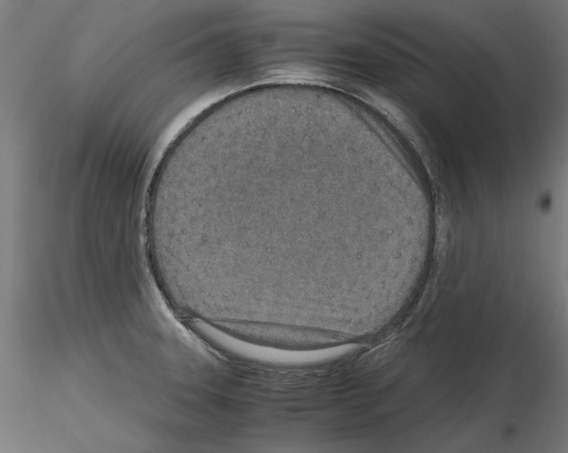 X0000115601331200912221138