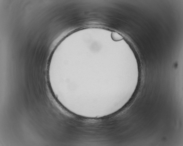 X0000115601333200912221138