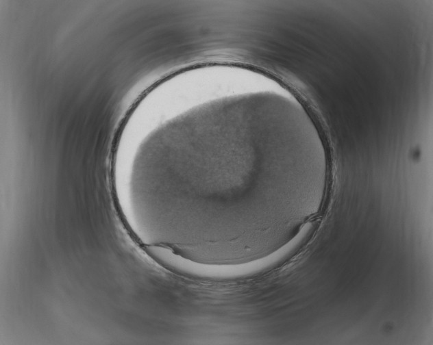 X0000115601334200912221138