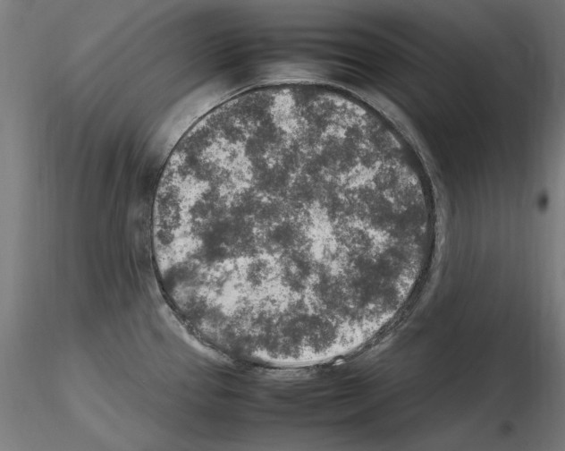 X0000115601337200912221138