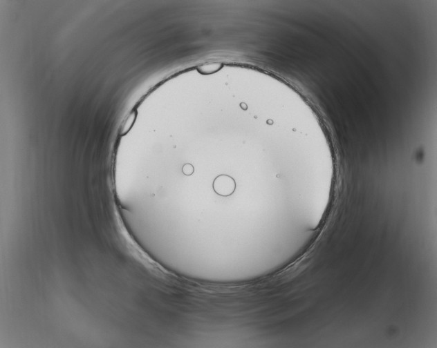 X0000115601342200912221138