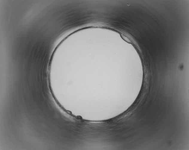 X0000115601343200912221138