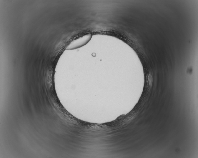 X0000115601348200912221137