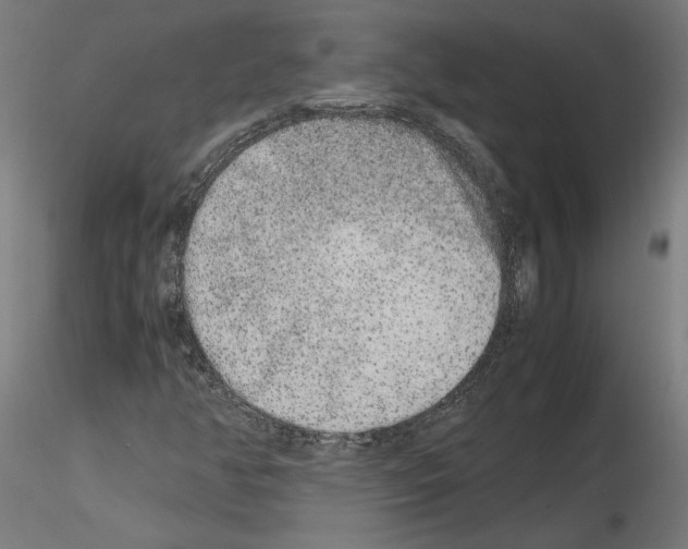 X0000115601350200912221137