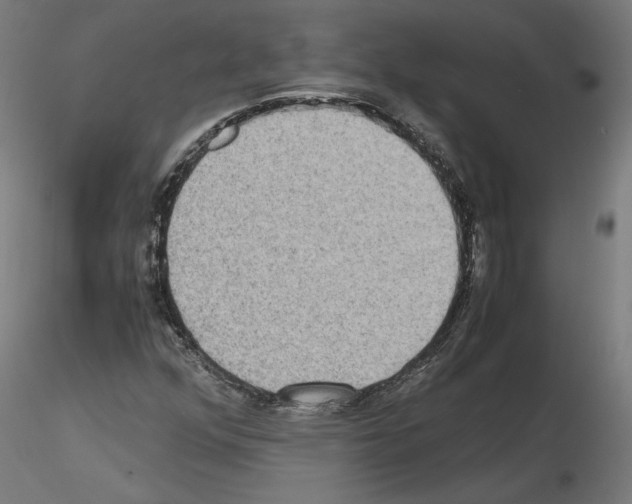 X0000115601352200912221137