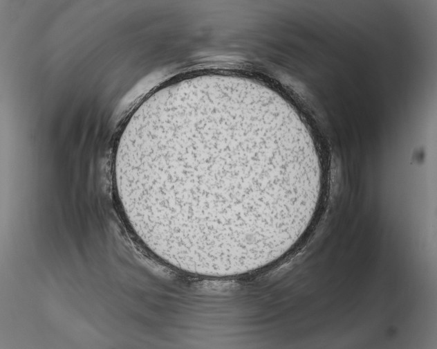 X0000115601354200912221137