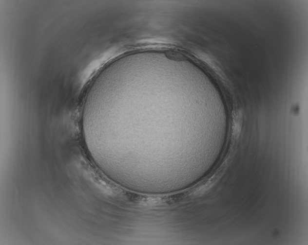 X0000115601357200912221137