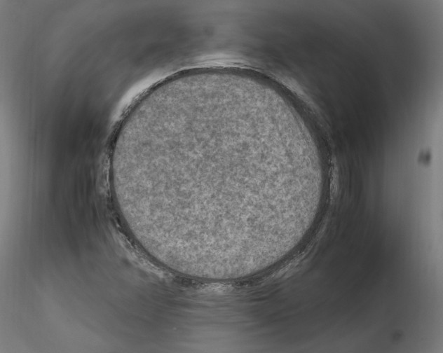 X0000115601358200912221137