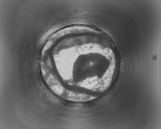 X0000115601359200912221137