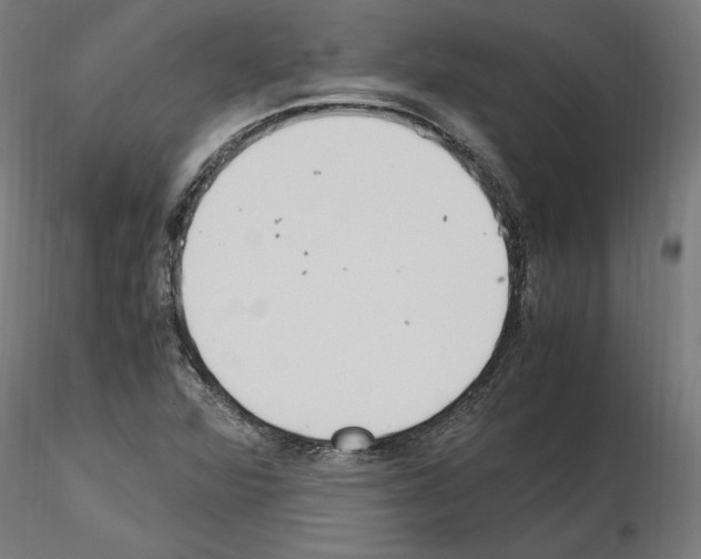 X0000115601360200912221137