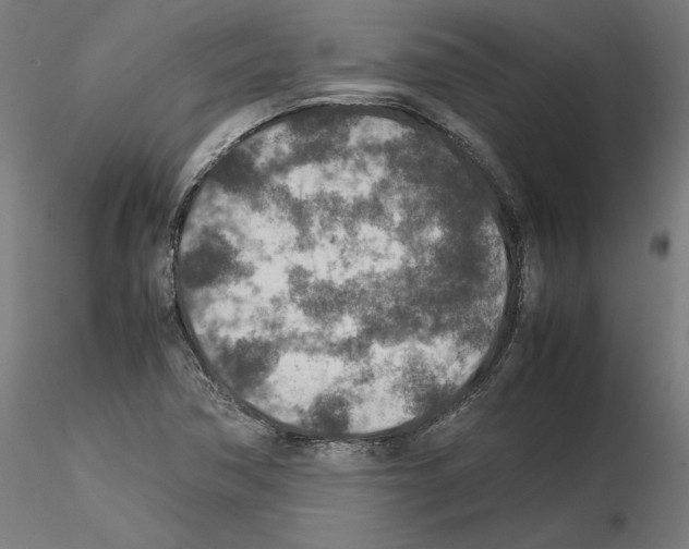 X0000115601362200912221137