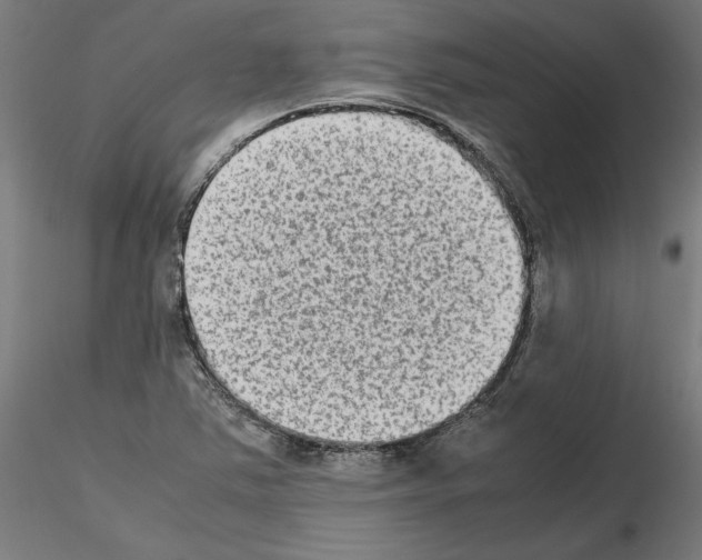 X0000115601363200912221137