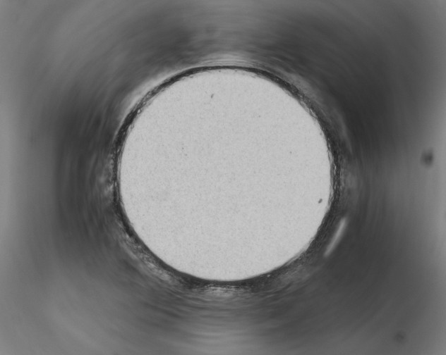 X0000115601364200912221137