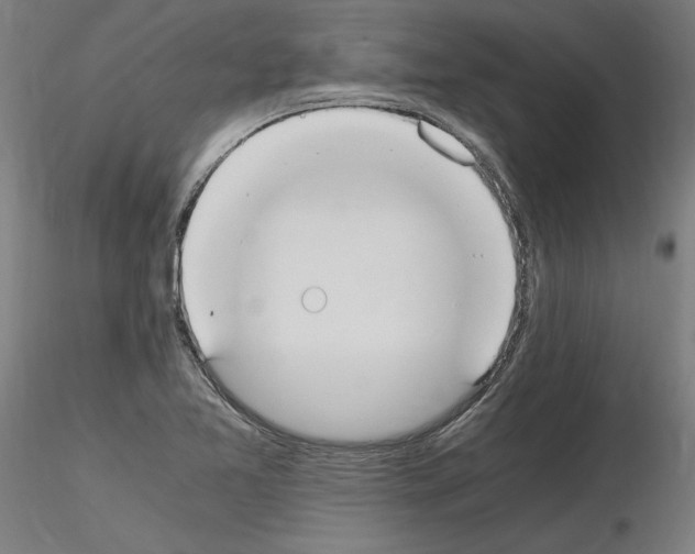 X0000115601365200912221137