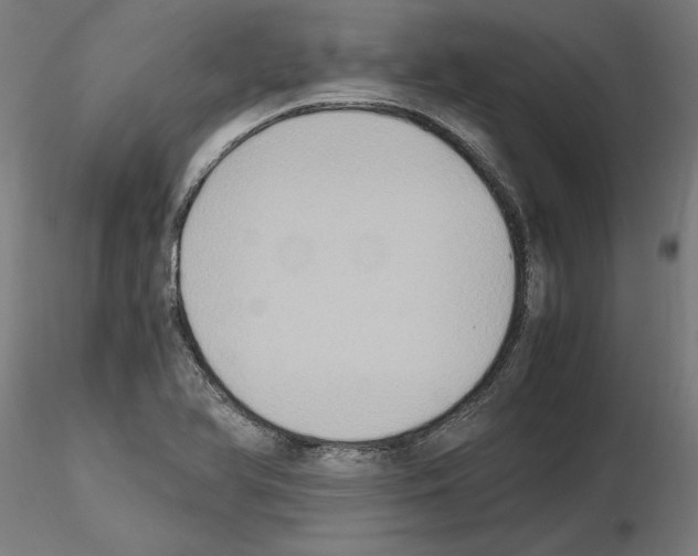 X0000115601366200912221137