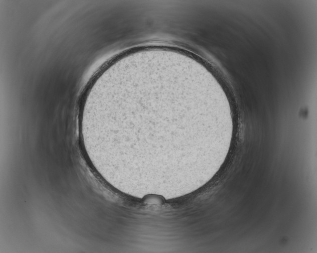 X0000115601368200912221137