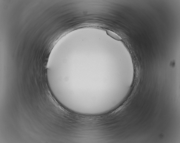 X0000115601369200912221137