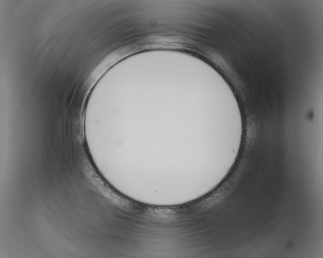 X0000115601370200912221137